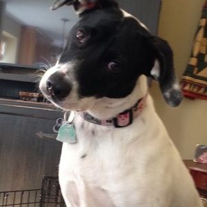 Meet your Posher, Terri